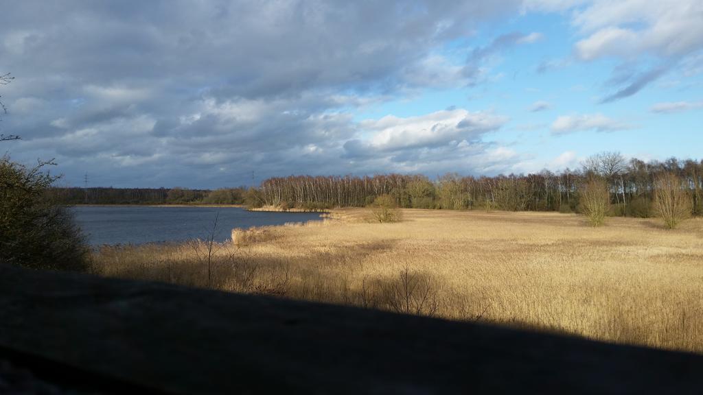 Aux Charmes De La Campagne Villa Hautrage Екстериор снимка