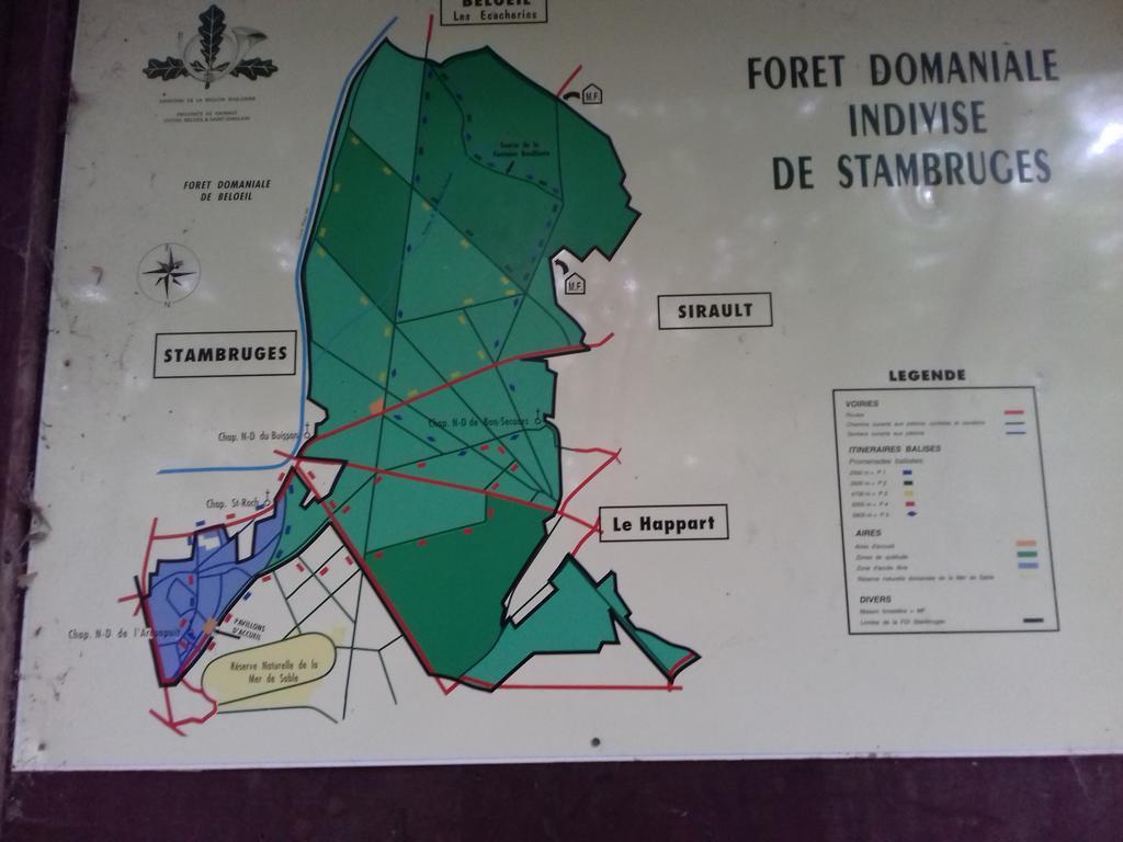 Aux Charmes De La Campagne Villa Hautrage Екстериор снимка